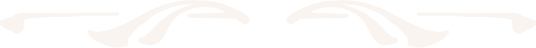 Vector White Logo