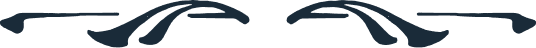 Vector Black Logo