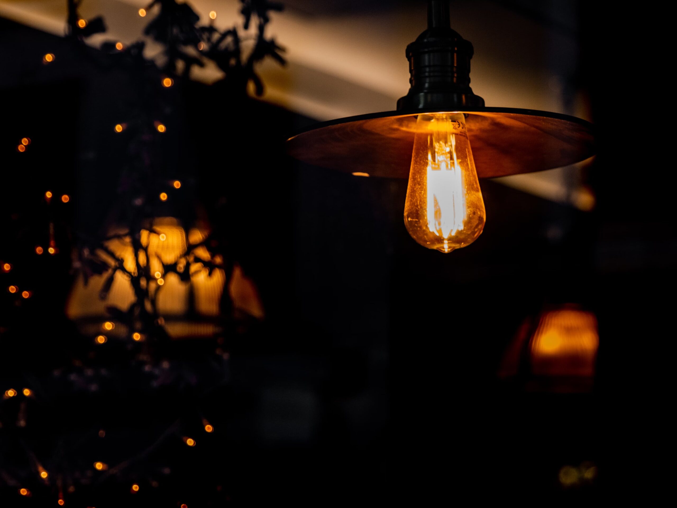 Hanging lightbulb
